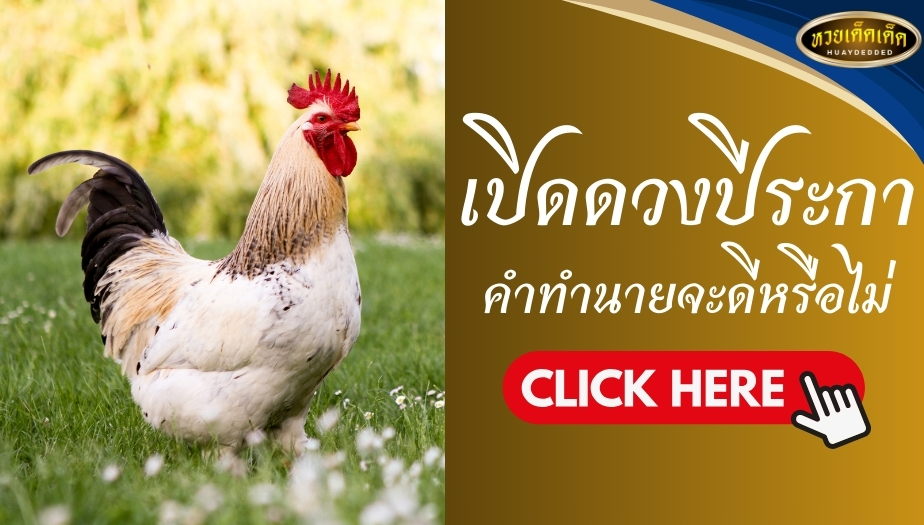 เปิดดวงปีระกา คำทำนาย จะดีหรือไม่? พร้อมแนะนำ เลขนำโชค