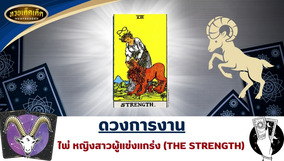 เปิดไพ่ยิปซีราศีมังกร ดวงการงาน ไพ่หญิงสาวผู้แข่งแกร่ง (THE STRENGTH) ผลการทำนาย ดังนี้