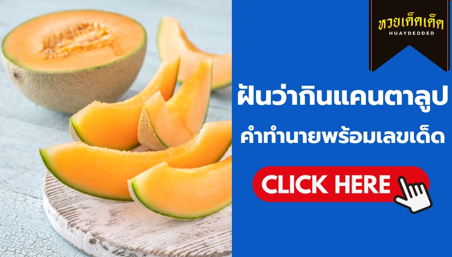 ฝันว่ากินแคนตาลูป ทำนายฝันแม่นๆ พร้อมเลขเด็ดสำหรับการเสี่ยงโชค