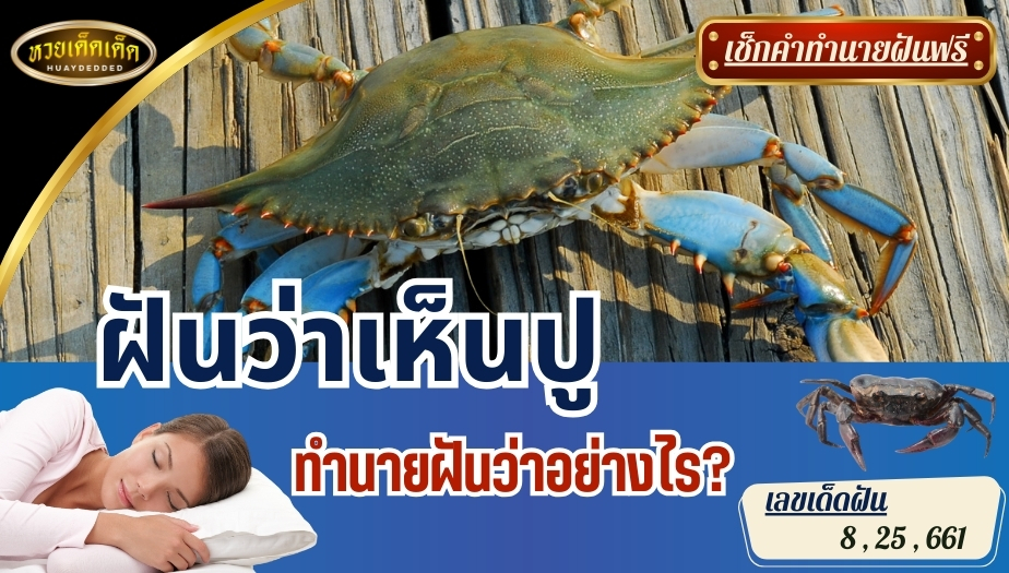 ฝันว่าเห็นปู ทำนายฝันว่าอย่างไร? พร้อมเลขเด็ดฝัน