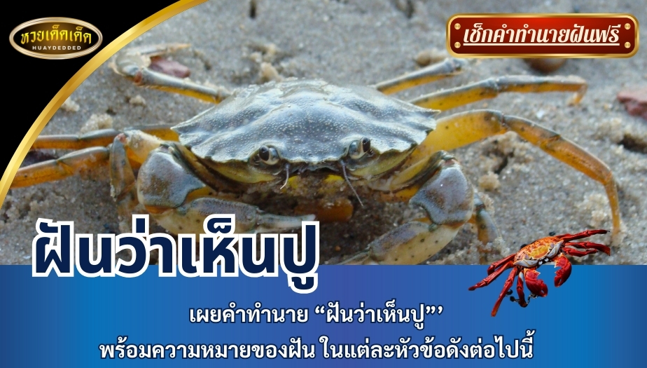 ฝันว่าเห็นปู เผยคำทำนาย “ฝันว่าเห็นปู” พร้อมความหมายของฝัน ในแต่ละหัวข้อดังต่อไปนี้