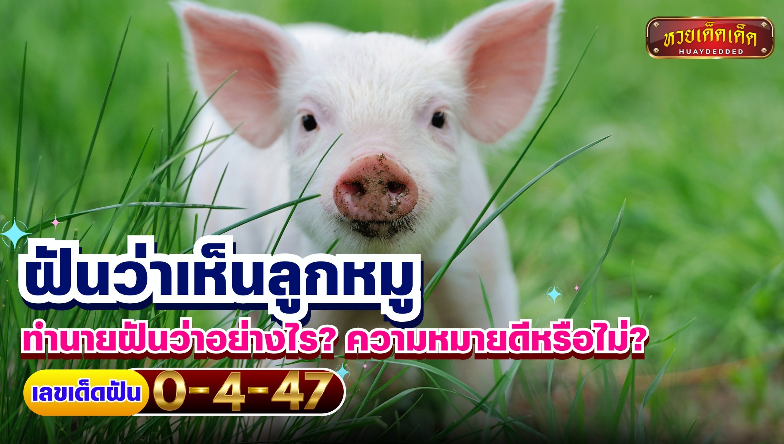 ฝันว่าเห็นลูกหมู ทำนายฝันว่าอย่างไร? ความหมายดีหรือไม่? พร้อมเลขเด็ด