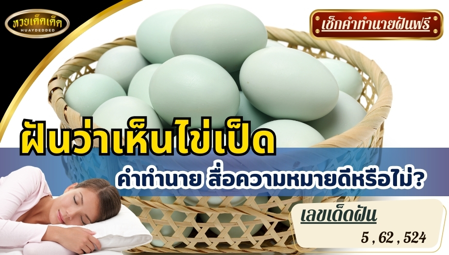 ฝันว่าเห็นไข่เป็ด คำทำนาย สื่อความหมายดีหรือไม่? พร้อมเลขเด็ด