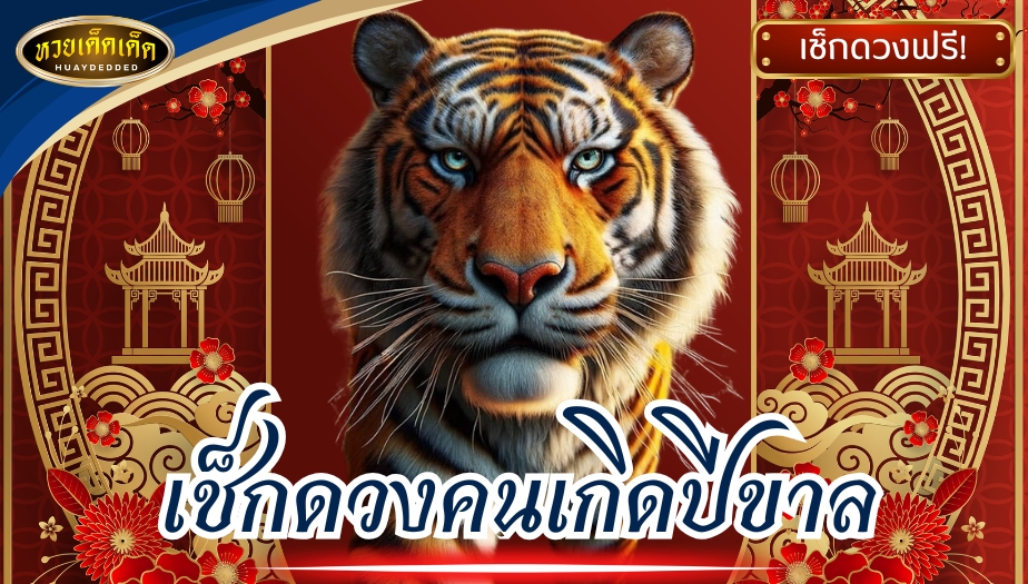 เช็กดวงคนเกิดปีขาล ประจำเดือนตุลาคม พร้อมเลขนำโชค 2567