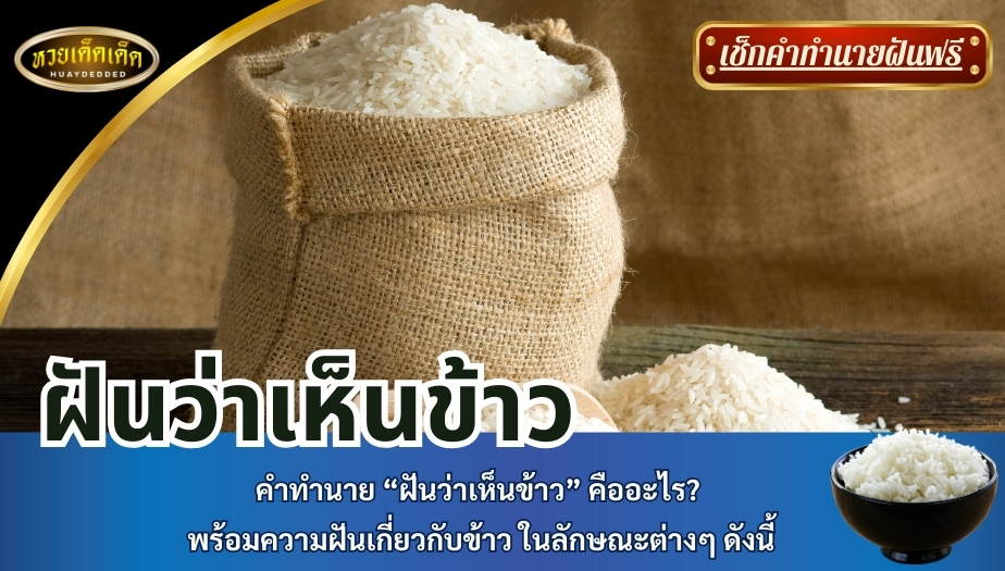 ฝันว่าเห็นข้าว คำทำนาย “ฝันว่าเห็นข้าว” คืออะไร? พร้อมความฝันเกี่ยวกับข้าว ในลักษณะต่างๆ ดังนี้