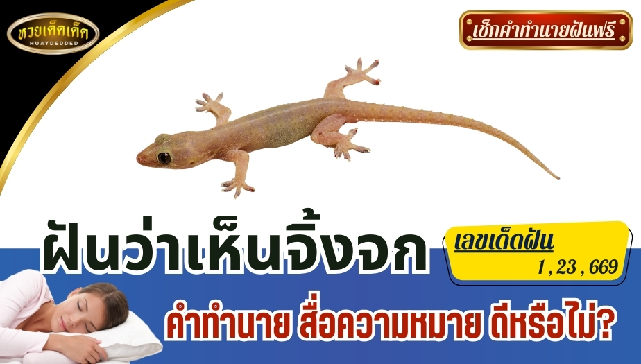 ฝันว่าเห็นจิ้งจก คำทำนาย สื่อความหมาย ดีหรือไม่? พร้อมเลขเด็ด