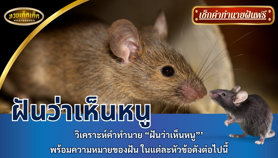 ฝันว่าเห็นหนู วิเคราะห์คำทำนาย “ฝันว่าเห็นหนู” พร้อมความหมายของฝัน ในแต่ละหัวข้อดังต่อไปนี้