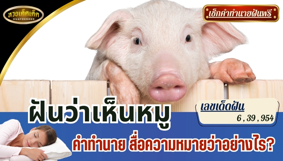 ฝันว่าเห็นหมู คำทำนาย สื่อความหมายว่าอย่างไร? พร้อมเลขเด็ด