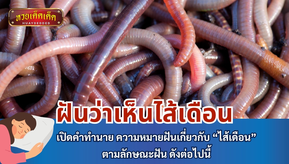 ฝันว่าเห็นไส้เดือน เปิดคำทำนาย ความหมายฝันเกี่ยวกับ “ไส้เดือน” ตามลักษณะฝัน ดังต่อไปนี้