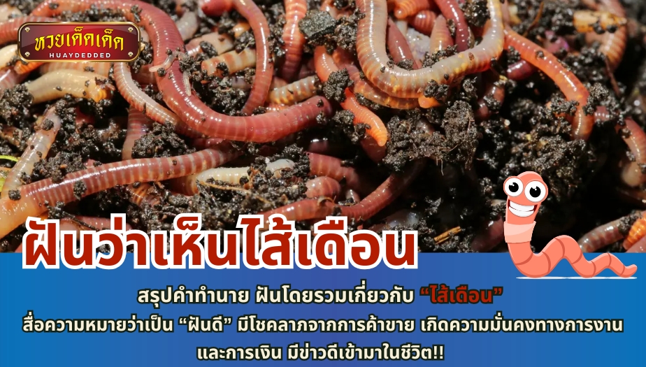 ฝันว่าเห็นไส้เดือน สรุปคำทำนาย ฝันโดยรวมเกี่ยวกับ “ไส้เดือน” สื่อความหมายว่าเป็น “ฝันดี” มีโชคลาภจากการค้าขาย 