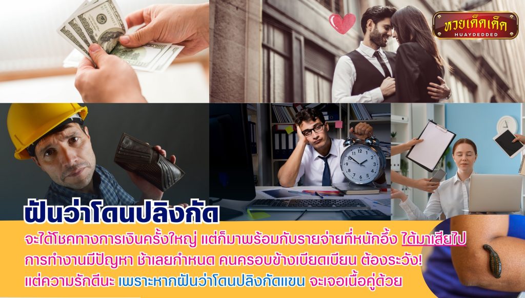 สรุปความฝัน ฝันว่าโดนปลิงกัด