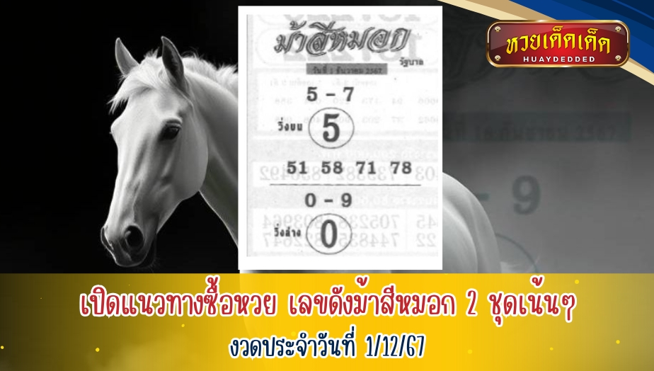 เปิดแนวทางซื้อหวย เลขดังม้าสีหมอก 2 ชุดเน้นๆงวดประจำวันที่ 1/12/67