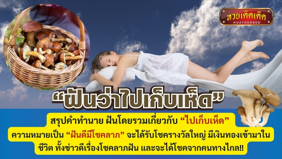 สรุปคำทำนาย ฝันโดยรวมเกี่ยวกับ ฝันว่าไปเก็บเห็ด ความหมายเป็น “ฝันดีมีโชคลาภ” จะได้รับโชครางวัลใหญ่ มีเงินทองเข้ามาในชีวิต ทั้งข่าวดีเรื่องโชคลาภฝัน และจะได้โชคจากคนทางไกล!!