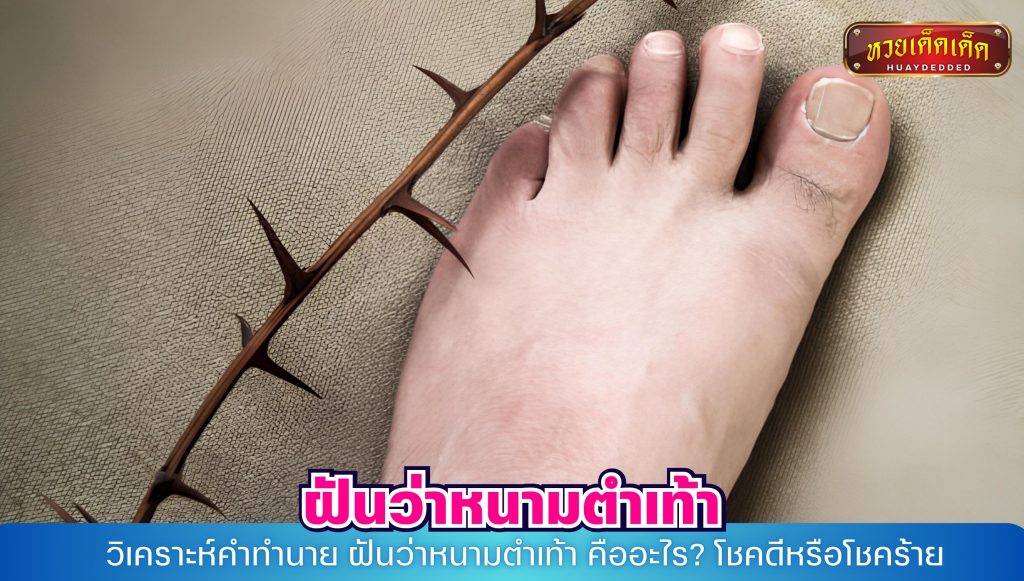 วิเคราะห์คำทำนาย ฝันว่าหนามตำเท้า คืออะไร