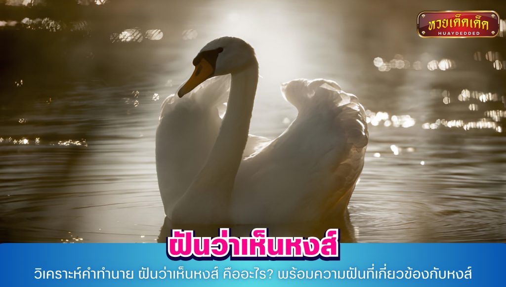 วิเคราะห์คำทำนาย ฝันว่าเห็นหงส์ คืออะไร