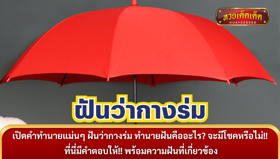 เปิดคำทำนายแม่นๆ ฝันว่ากางร่ม ทำนายฝันคืออะไร? จะมีโชคหรือไม่!! ที่นี่มีคำตอบให้!! พร้อมความฝันที่เกี่ยวข้อง