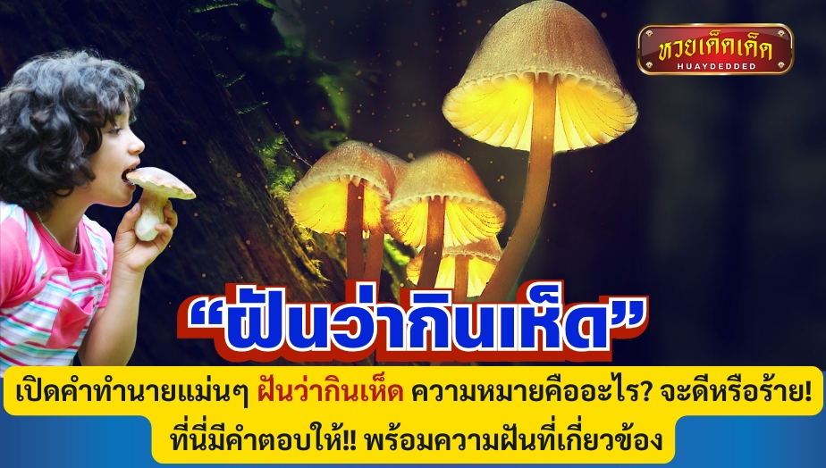 เปิดคำทำนายแม่นๆ ฝันว่ากินเห็ด ความหมายคืออะไร? จะดีหรือร้าย! ที่นี่มีคำตอบให้!! พร้อมความฝันที่เกี่ยวข้อง