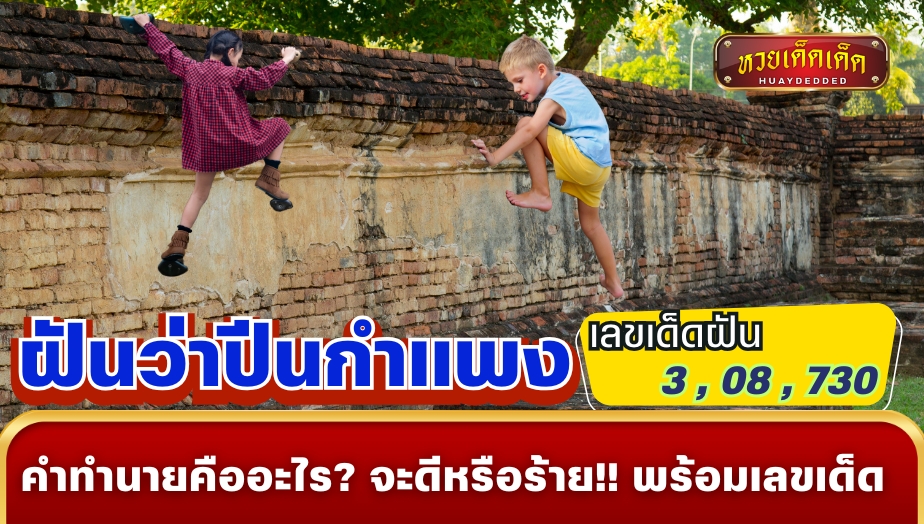 ฝันว่าปีนกำแพง คำทำนายคืออะไร? จะดีหรือร้าย!! พร้อมเลขเด็ด