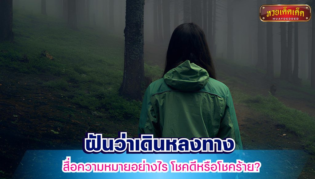 ฝันว่าเดินหลงทาง  สื่อความหมายอย่างไร โชคดีหรือโชคร้าย