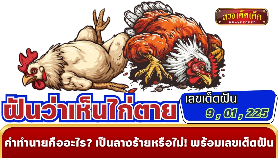 ฝันว่าเห็นไก่ตาย ความหมายและคำทำนาย พร้อมเลขเด็ดเสี่ยงโชค