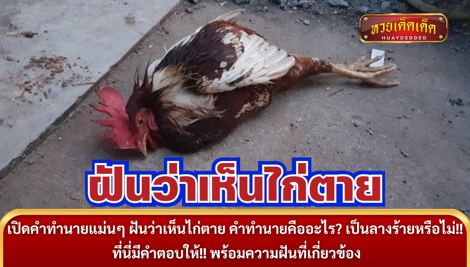 เปิดคำทำนายแม่นๆ ฝันว่าเห็นไก่ตาย คำทำนายคืออะไร? เป็นลางร้ายหรือไม่!! ที่นี่มีคำตอบให้!! พร้อมความฝันที่เกี่ยวข้อง