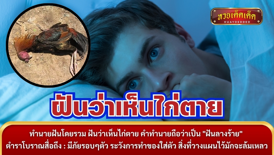 ทำนายฝันโดยรวม ฝันว่าเห็นไก่ตาย คำทำนายถือว่าเป็น "ฝันลางร้าย" ตำราโบราณสื่อถึง : มีภัยรอบๆตัว ระวังการทำของใส่ตัว สิ่งที่วางแผนไว้มักจะล้มเหลว