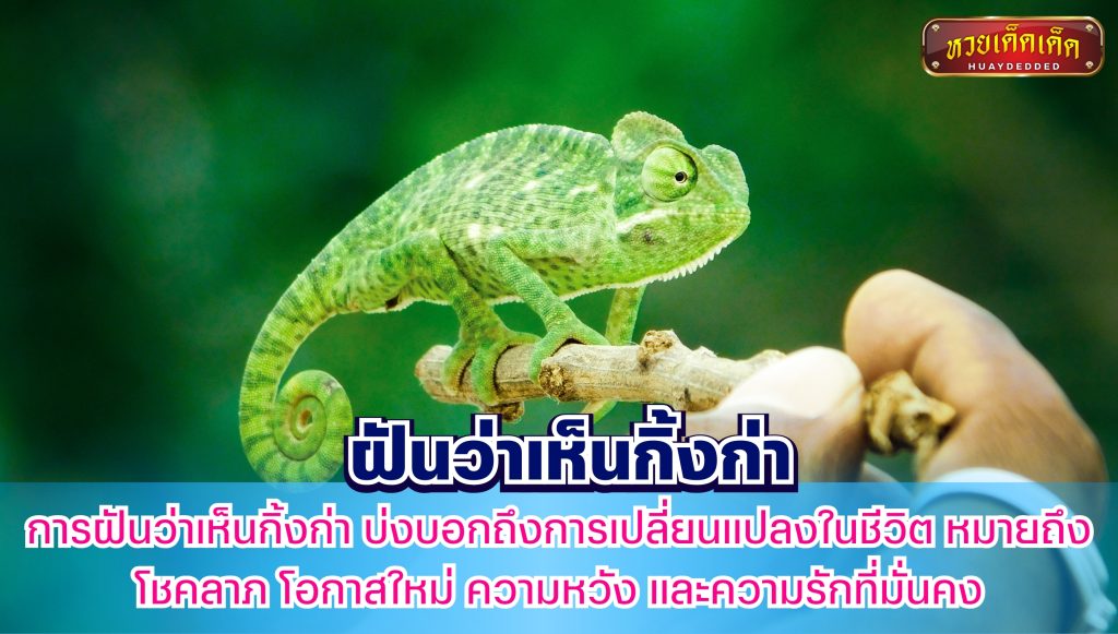 สรุปคำทำนาย ฝันว่าเห็นกิ้งก่า