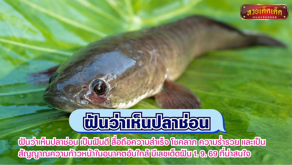 สรุปคำทำนาย ฝันว่าเห็นปลาช่อน