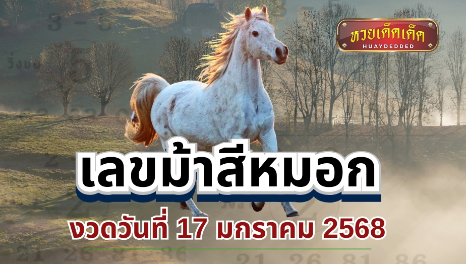 เลขม้าสีหมอก วันที่ 17 มกราคม 2568 แนวทางซื้อหวย ควบรวยมาแจก!!