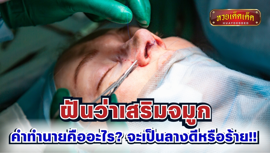 ฝันว่าเสริมจมูก คำทำนายคืออะไร? จะเป็นลางดีหรือร้าย!! เช็กเลย