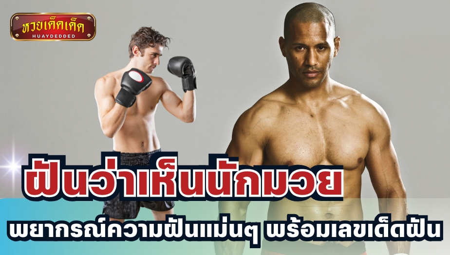 ฝันว่าเห็นนักมวย โชคลาภและความรักกำลังลงตัว