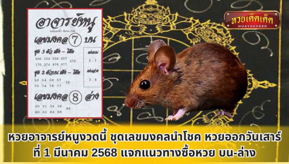 หวยอาจารย์หนูงวดนี้ ชุดเลขมงคลนำโชค หวยออกวันเสาร์ ที่ 1 มีนาคม 2568 แจกแนวทางซื้อหวย บน-ล่าง