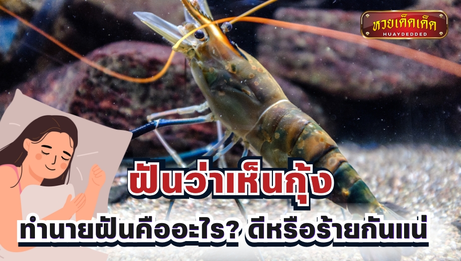 ฝันว่าเห็นกุ้ง มีความหมายว่าอย่างไร? พร้อมแนวทางเลขเด็ด