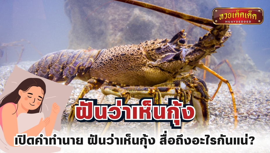 เปิดคำทำนาย ฝันว่าเห็นกุ้ง สื่อถึงอะไรกันแน่?