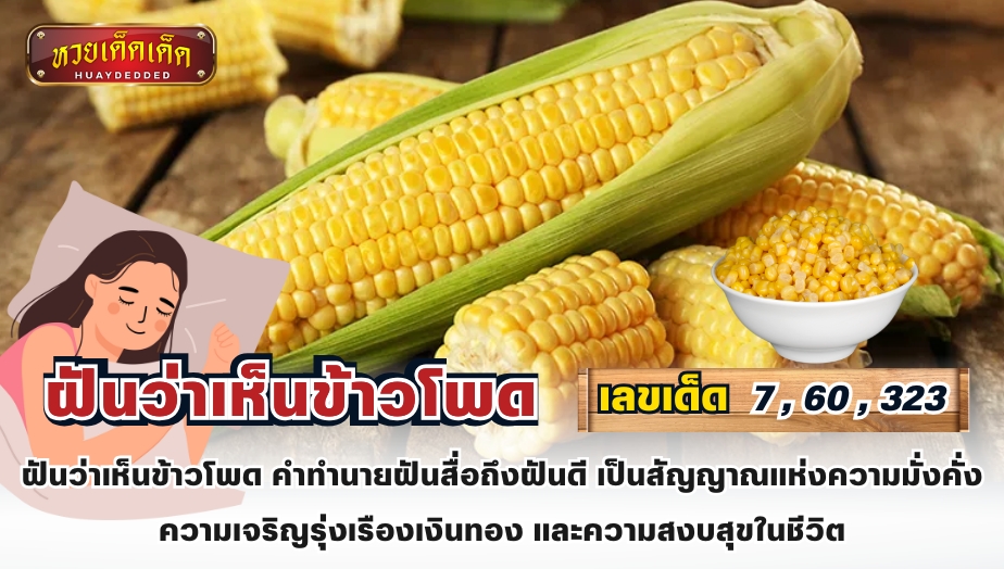 สรุปคำทำนาย ฝันว่าเห็นข้าวโพด คำทำนายฝันสื่อถึงฝันดี เป็นสัญญาณแห่งความมั่งคั่ง ความเจริญรุ่งเรืองเงินทอง และความสงบสุขในชีวิต