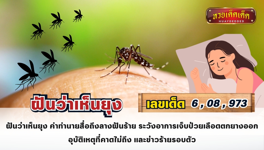 สรุปทำนายฝัน ฝันว่าเห็นยุง คำทำนายสื่อถึงลางฝันร้าย ระวังอาการเจ็บป่วยเลือดตกยางออก อุบัติเหตุที่คาดไม่ถึง และข่าวร้ายรอบตัว